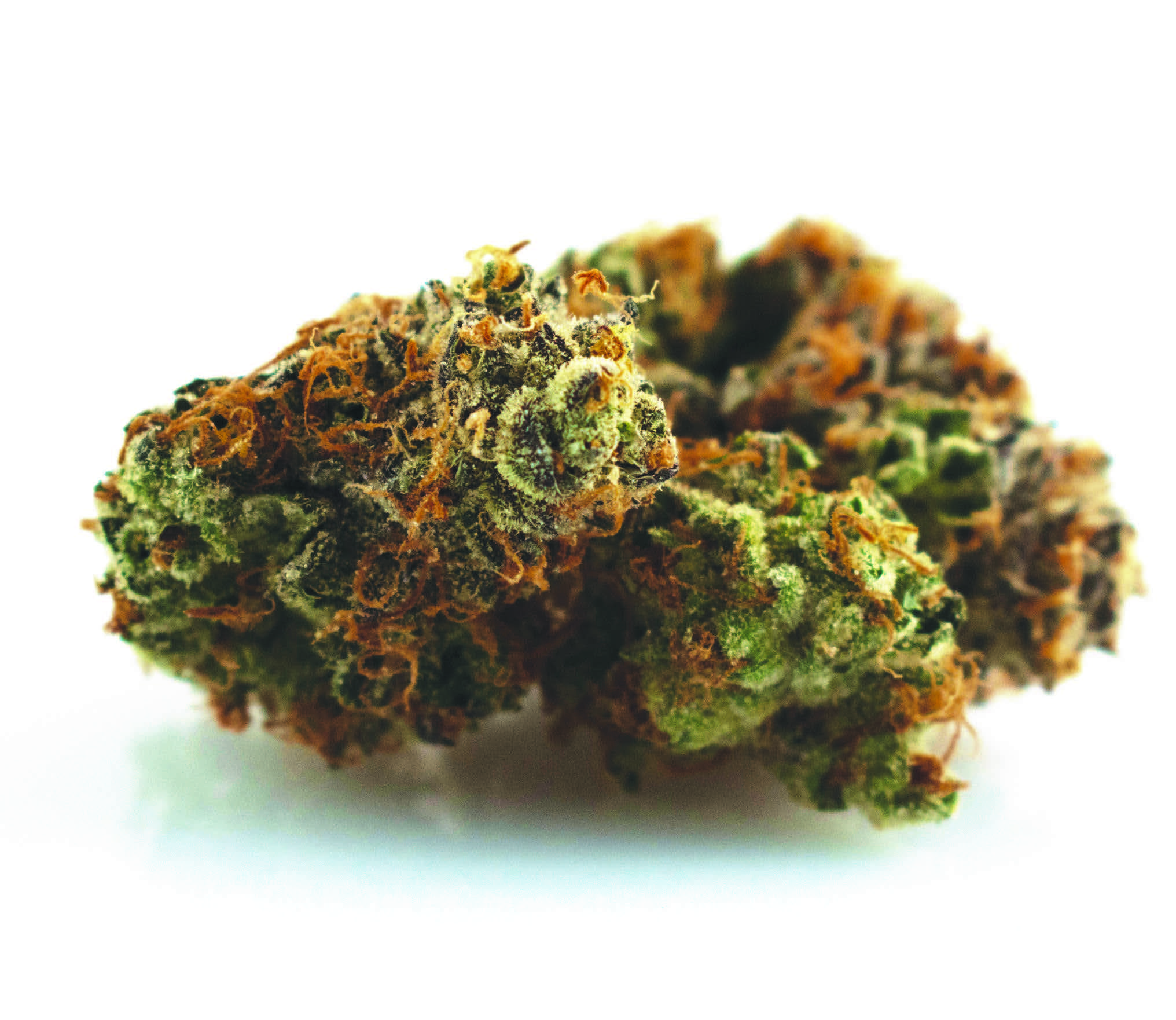 Double Afghan Chunk #24