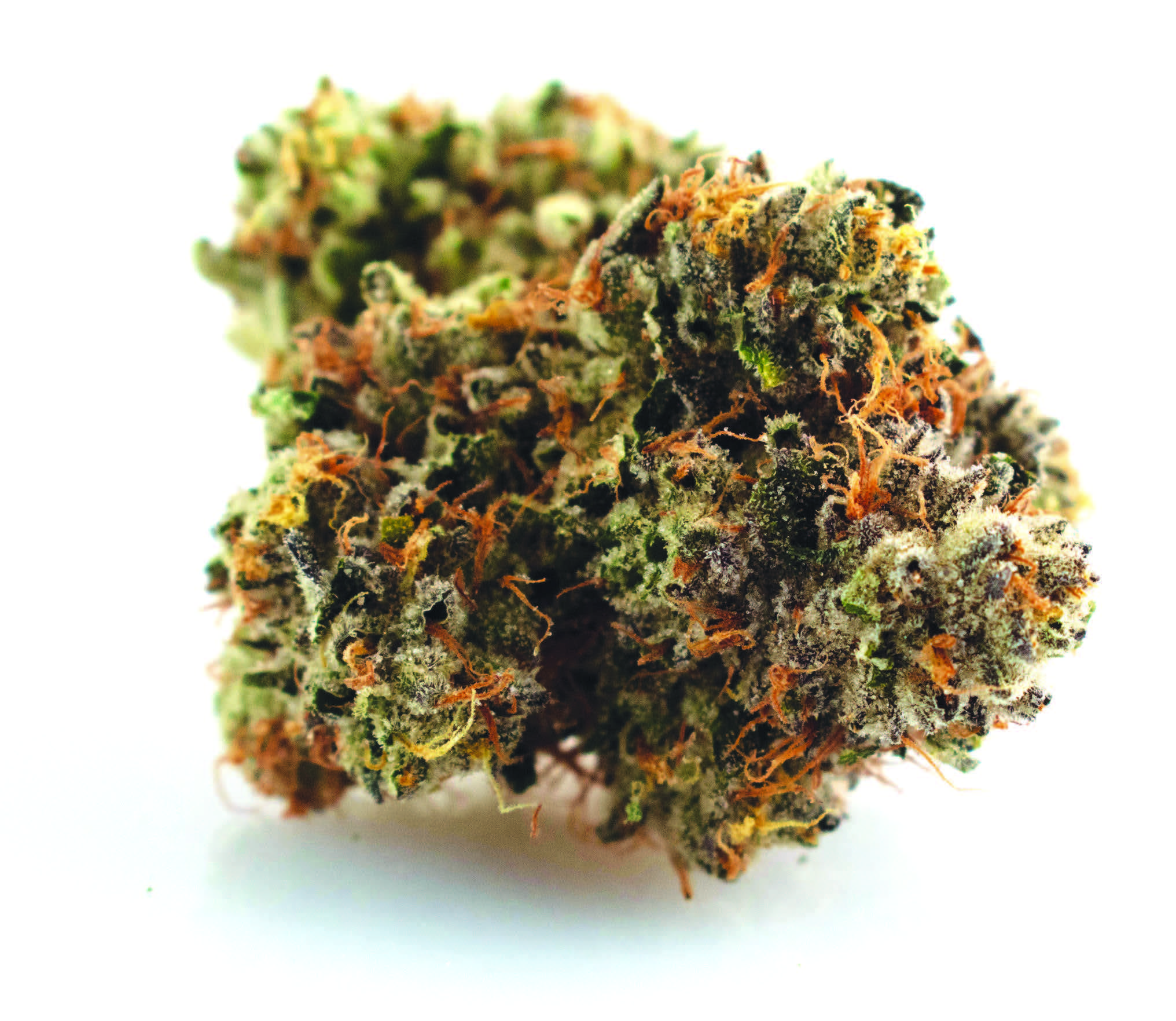 Double Afghan Chunk #37