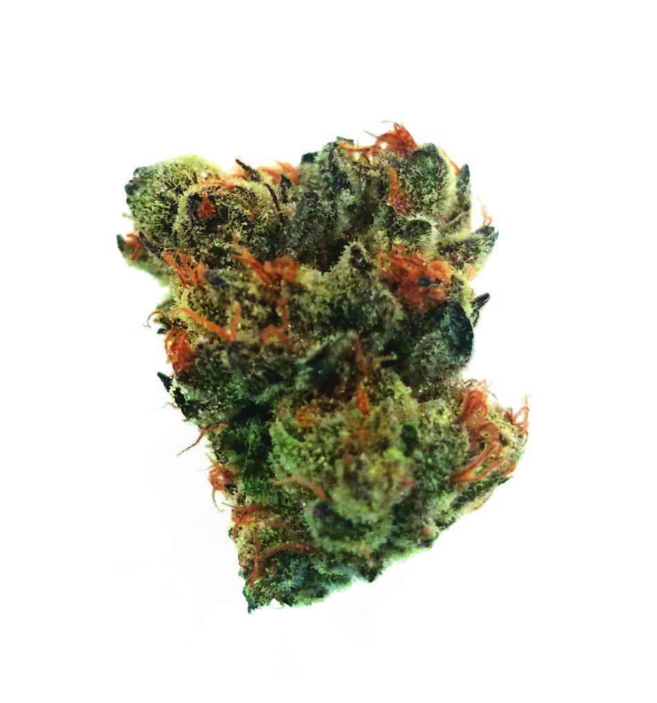 Florthern Lights Haze #39