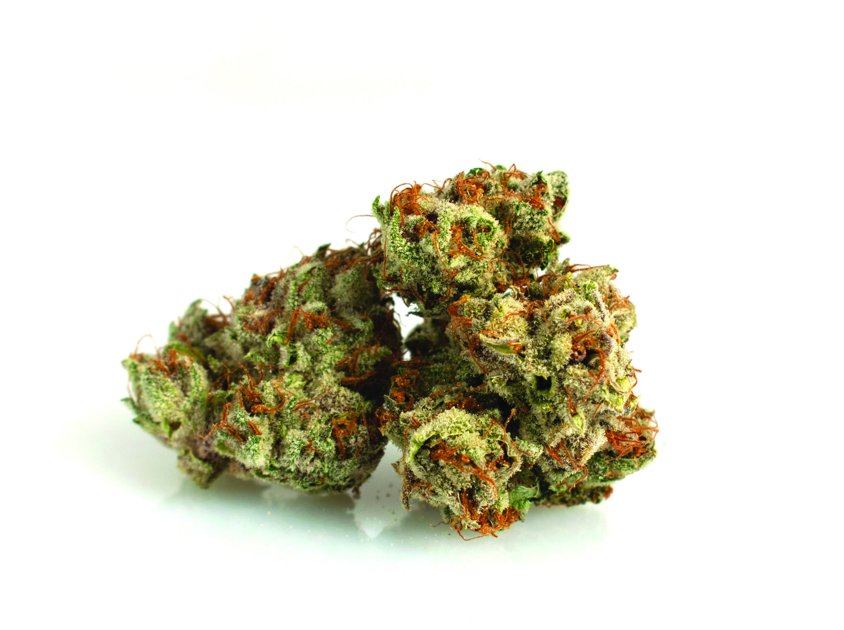 Orange Chem S #5