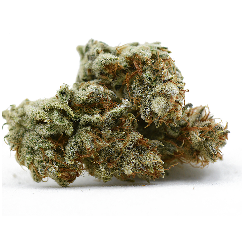 Orange Chem S #1
