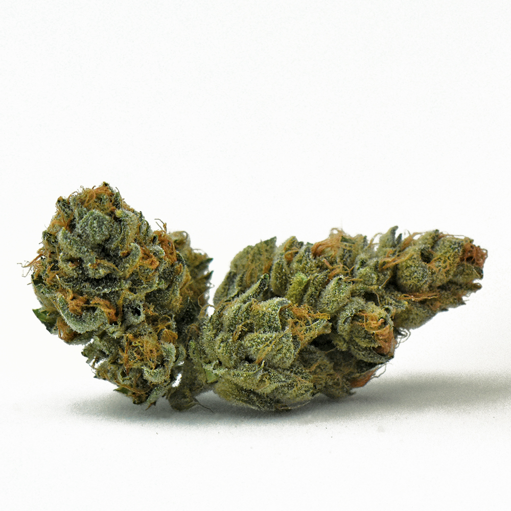 PT Starqueen #28