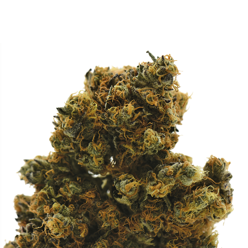 Sour Blueberry #2