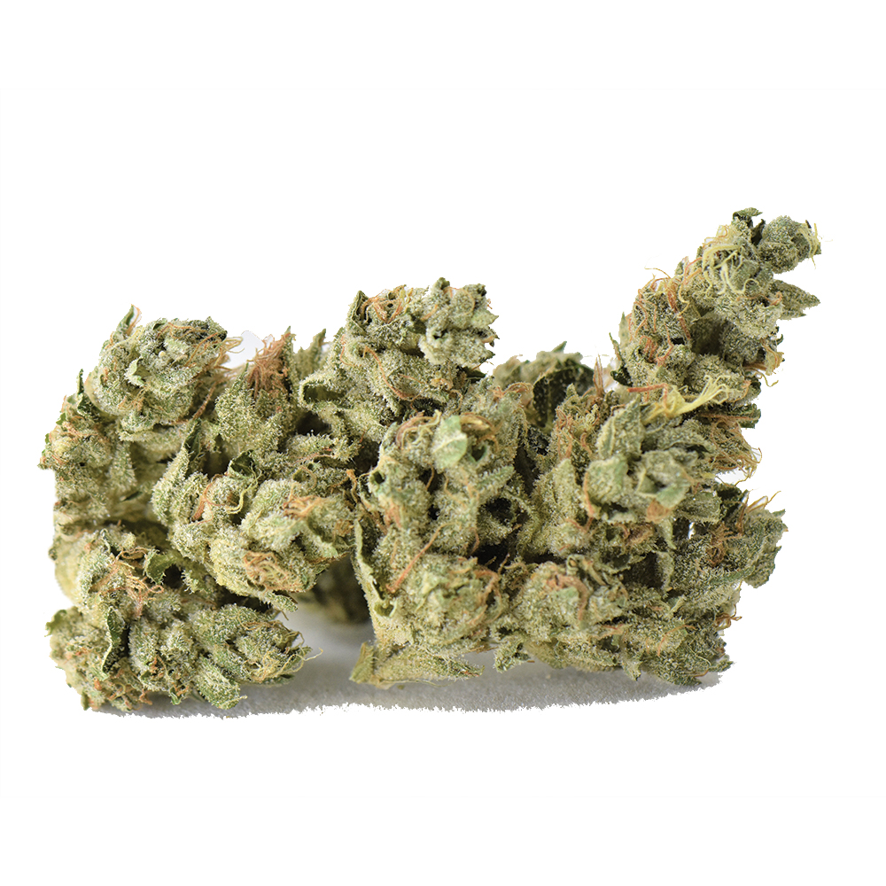 Ghost Thai #19