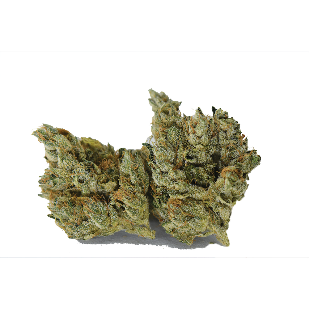 Ghost Thai #45