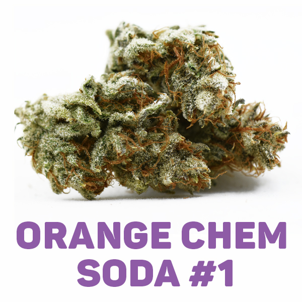 prime Numbers: Orange Chem Soda Phenos
