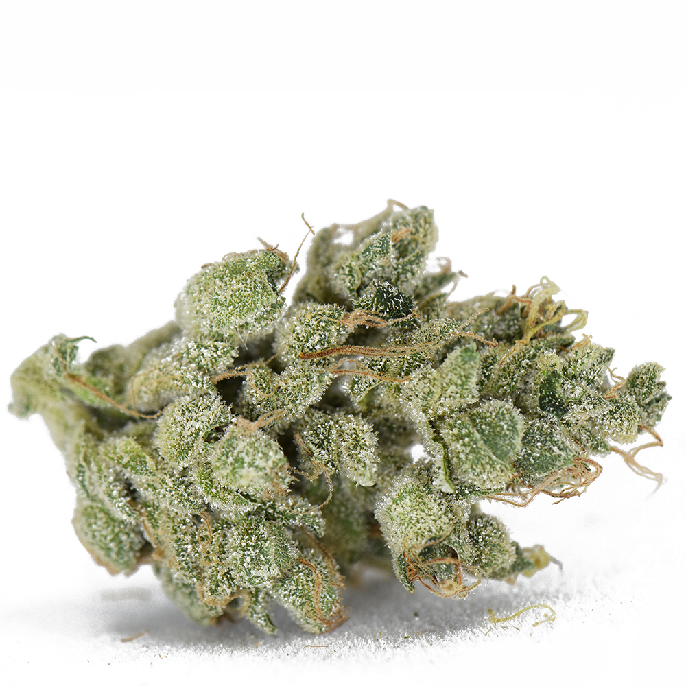 African Thai BX1 #32