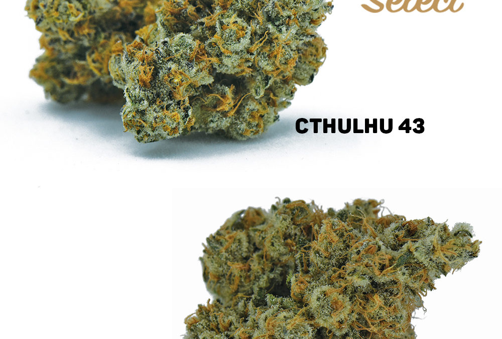 Behind the Strains: Cthulhu
