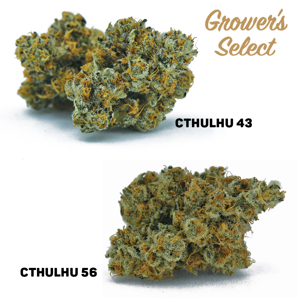 Behind the Strains: Cthulhu