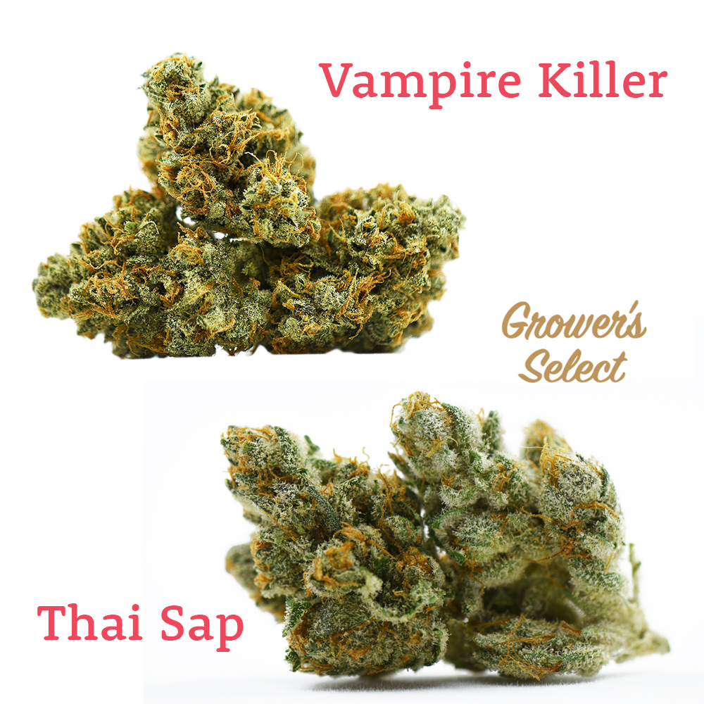 Grower’s Select: Thai Sap and Vampire Killer