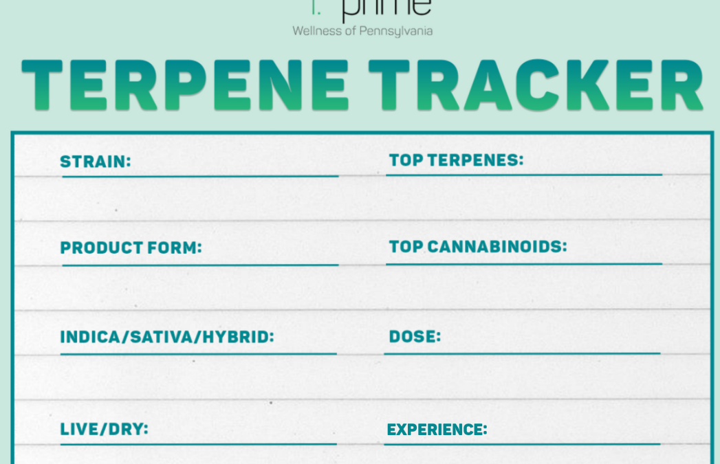 Terpene Tracker: Orange Slice Nebula