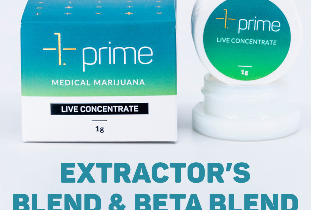 prime Sessions: Extract Blends