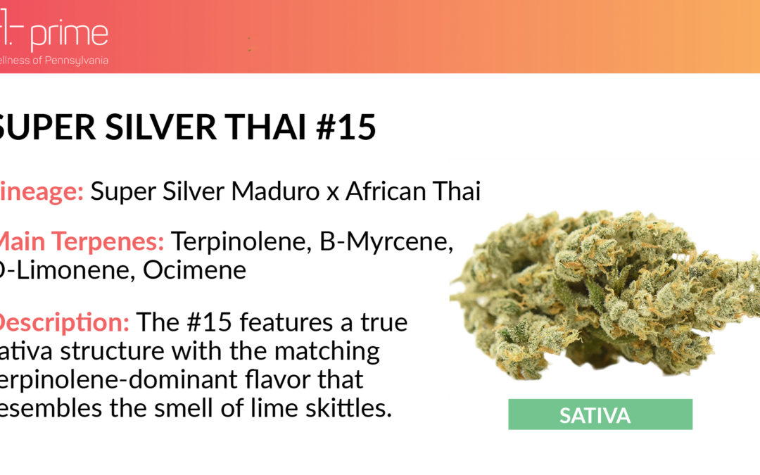 Behind the Strains: Super Silver Thai