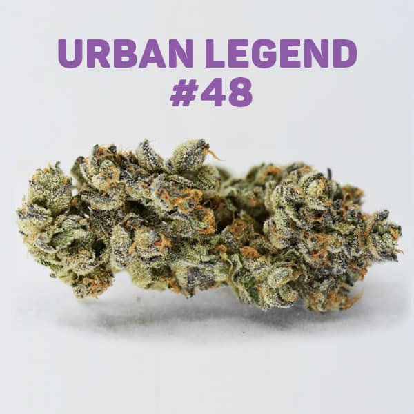 Behind the Strains: Urban Legend