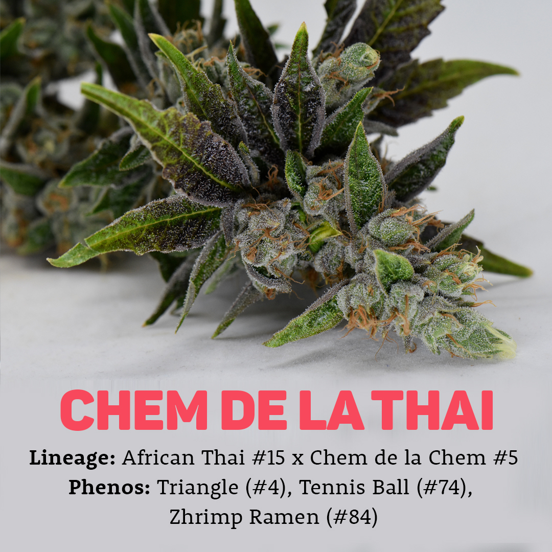 Behind the Strains: Chem de la Thai