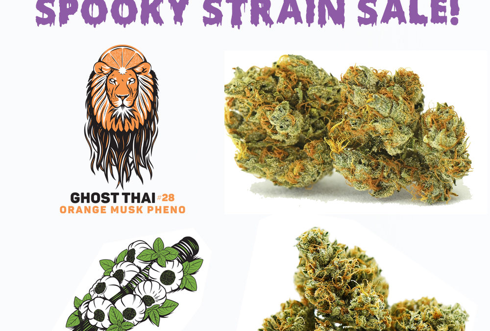 prime Sessions: Our Spookiest Strain Sale Yet