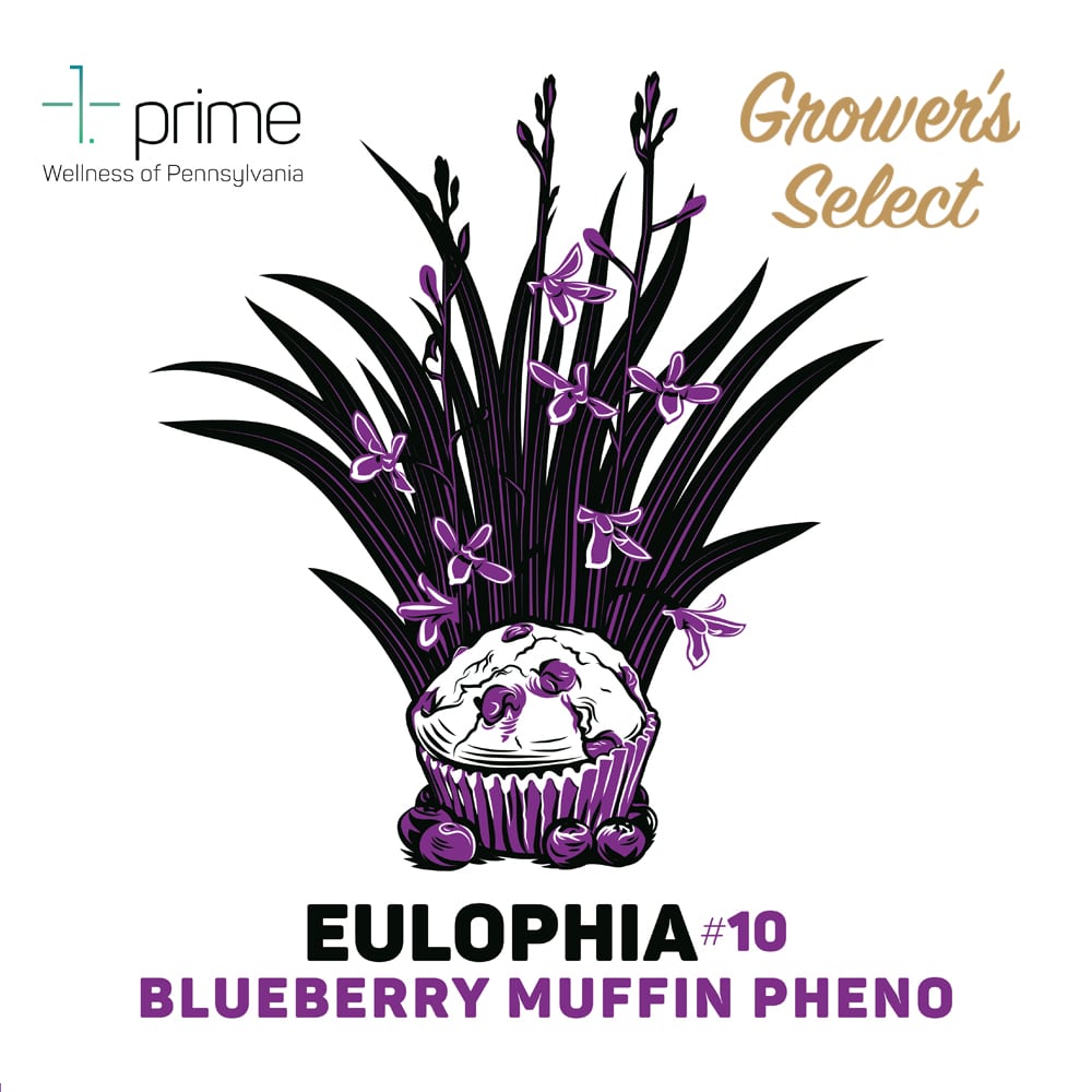 Qualified Cultivars: Eulophia #10